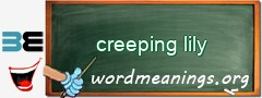 WordMeaning blackboard for creeping lily